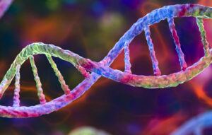 DNA rendering